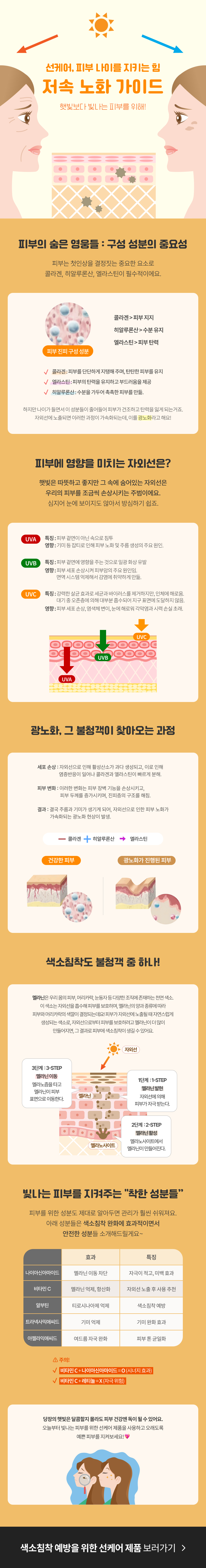 피부 노화 방지 자외선 차단 성분 인포그래픽