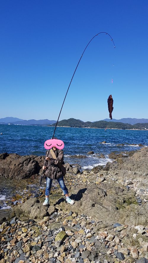 회는 자연산이 맛있어 ㅋㅋ - 에누리 쇼핑지식 자유게시판 회는 자연산이 맛있어 ㅋㅋ - 에누리 쇼핑지식
