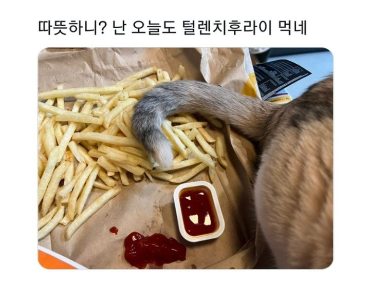 너만 좋으면 다니 .......? - 에누리 쇼핑지식 자유게시판 너만 좋으면 다니 .......? - 에누리 쇼핑지식