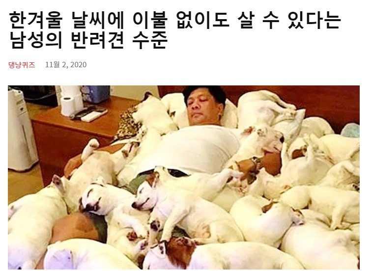 추워도 이불 없이 사는 남자 - 에누리 쇼핑지식 자유게시판 추워도 이불 없이 사는 남자 - 에누리 쇼핑지식