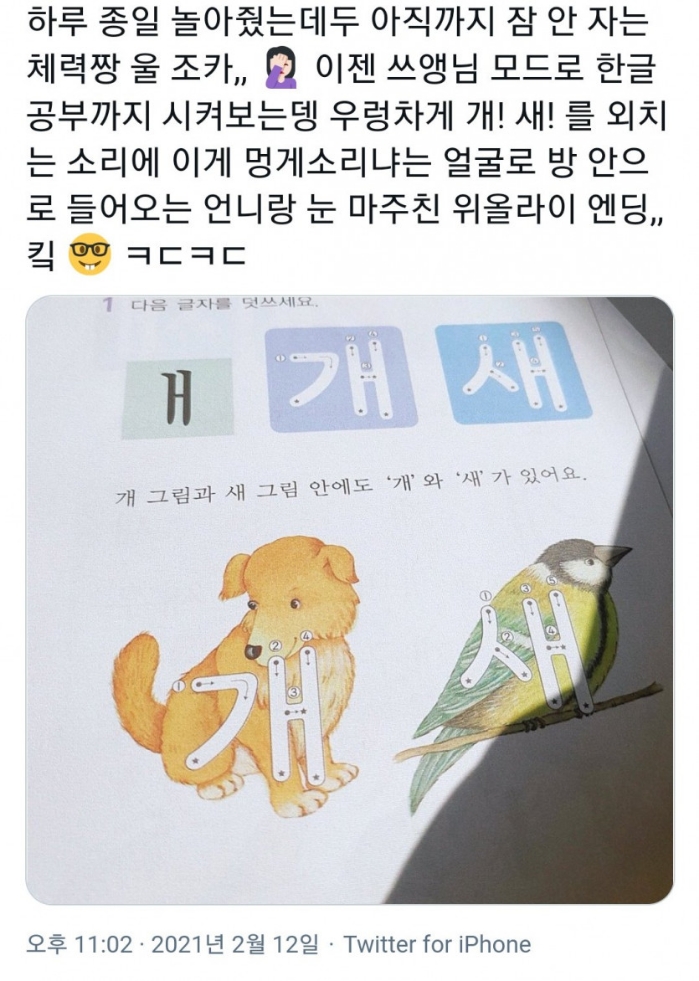 조카랑 한글 공부하고 있는데 - 에누리 쇼핑지식 자유게시판 조카랑 한글 공부하고 있는데 - 에누리 쇼핑지식
