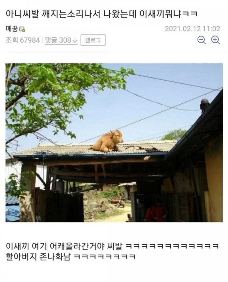 소오름 그 자체인 사진 - 에누리 쇼핑지식 자유게시판 소오름 그 자체인 사진 - 에누리 쇼핑지식