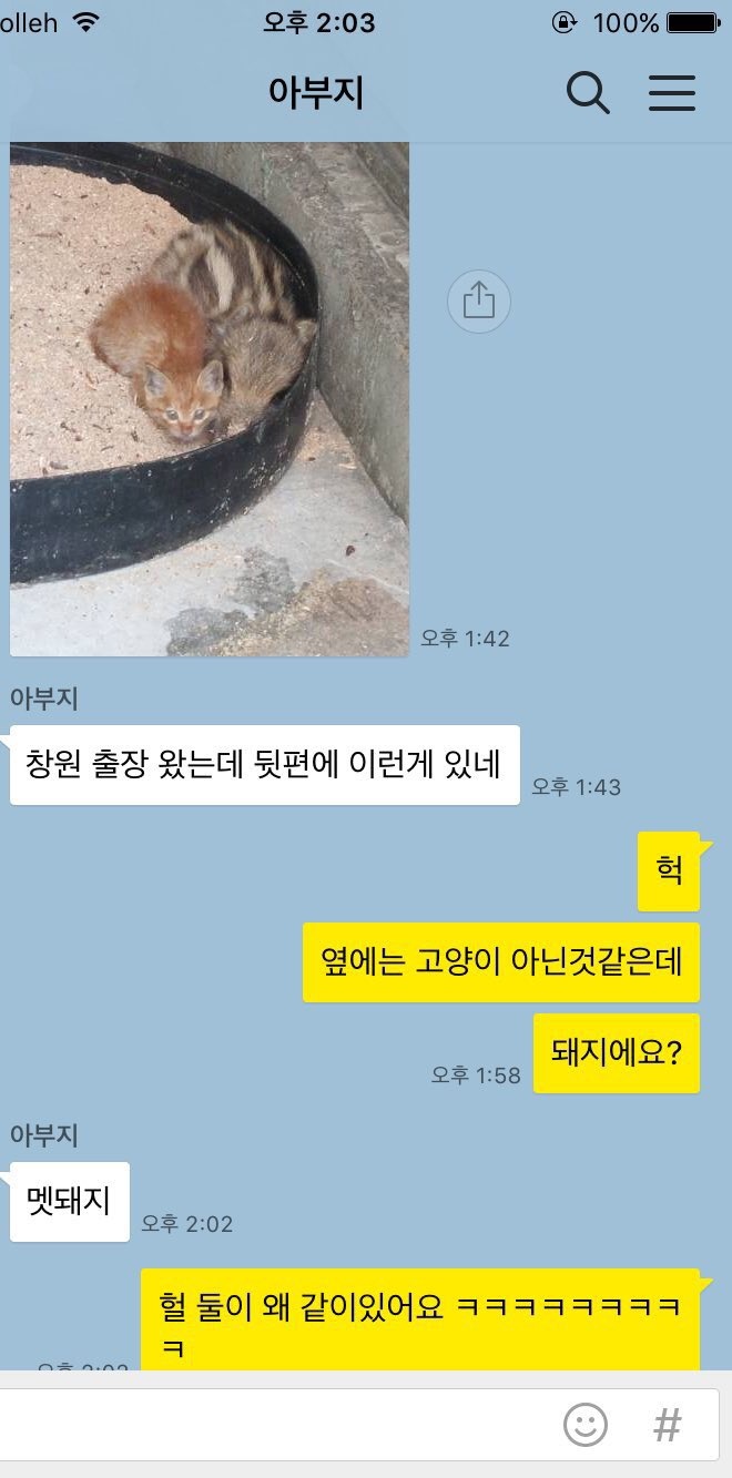 썸네일-옆에는 고양이 아닌것같은데-이미지