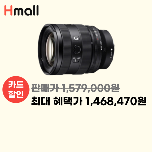 소니 알파 FE 20-70mm F4 G 이미지 5707