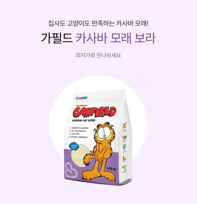 가필드 카사바 모래 보라 이미지 5843