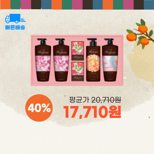 LG생활건강 정성담은 샴푸바디 프리미엄세트 이미지 5950