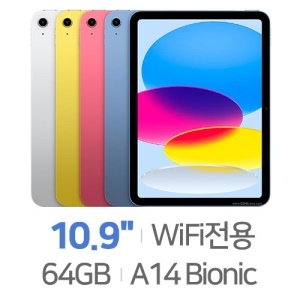 아이패드 10세대