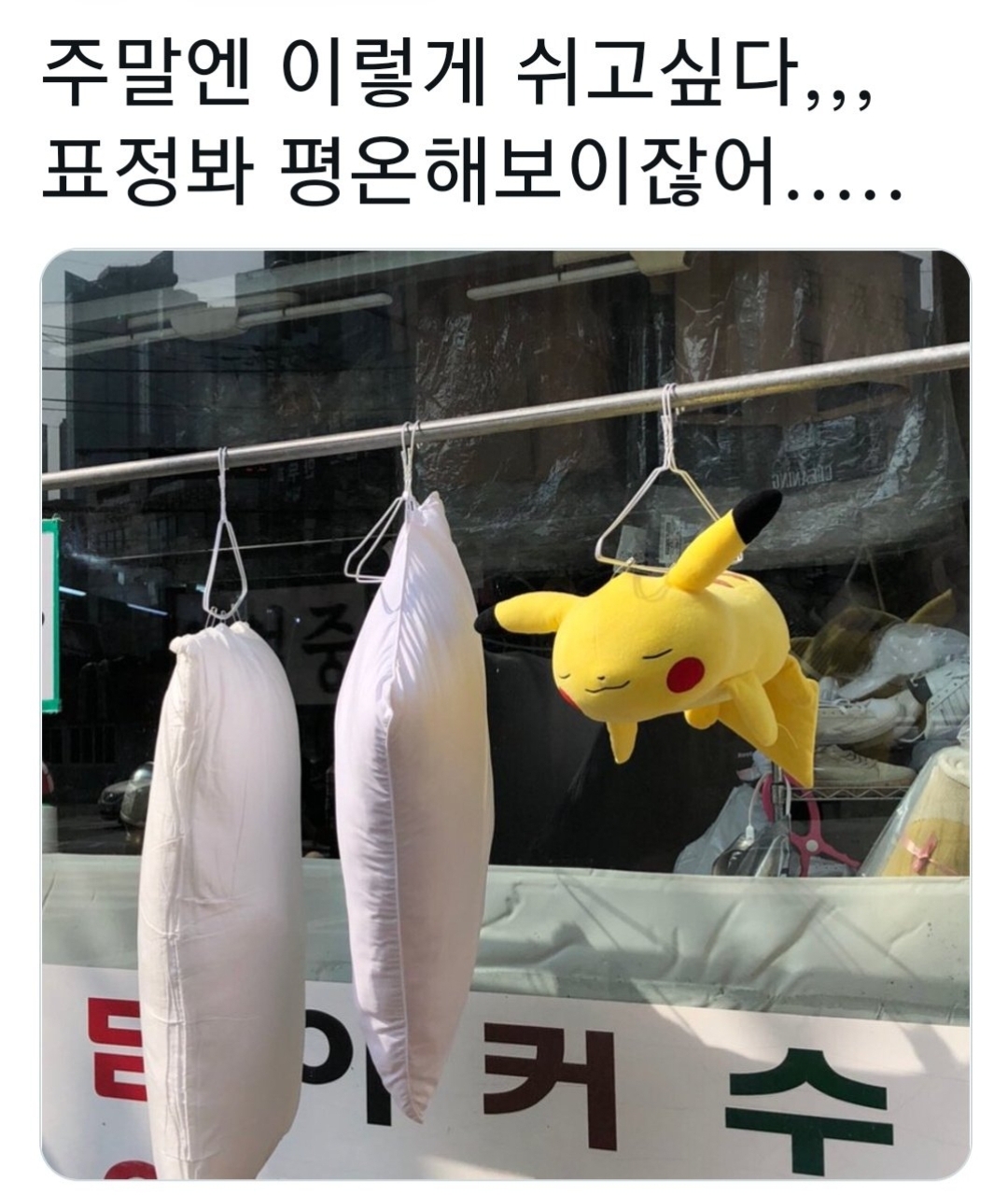 주말에 쉬고싶은 내 모습 에누리 쇼핑지식 자유게시판