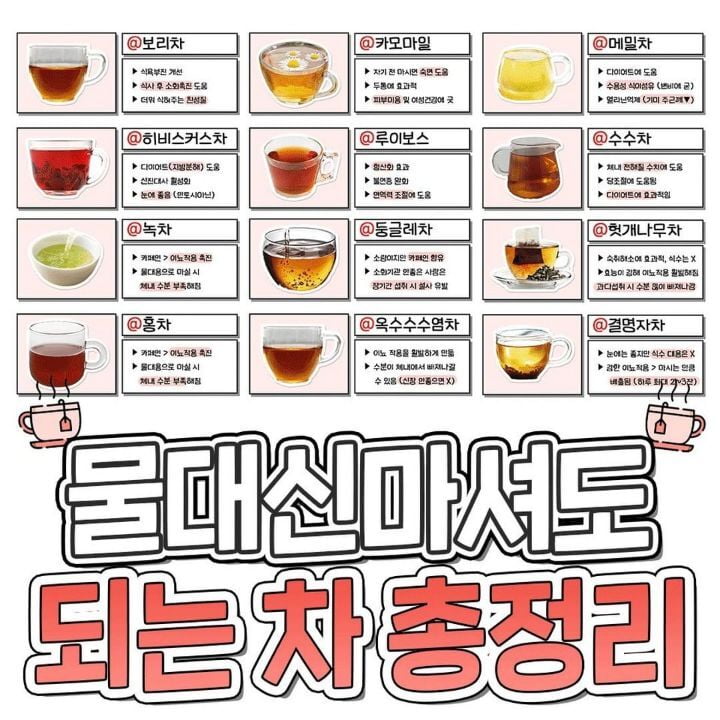 물 대신 마셔도 되는 차 - 에누리 쇼핑지식 자유게시판