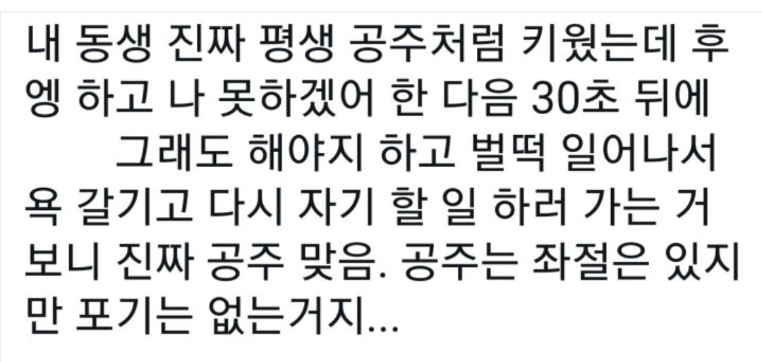 공주처럼 자란 동생 - 에누리 쇼핑지식 자유게시판