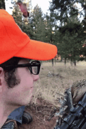 썸네일-꽃으로 착각한 벌새-이미지