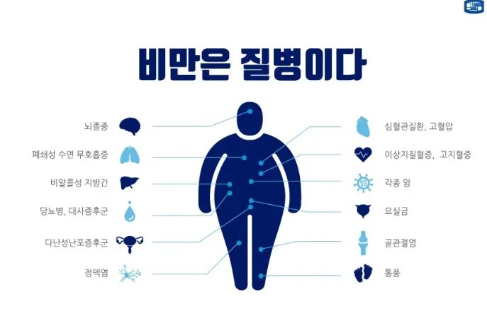 유독 인터넷에서 사람들이 인정하지 않는것