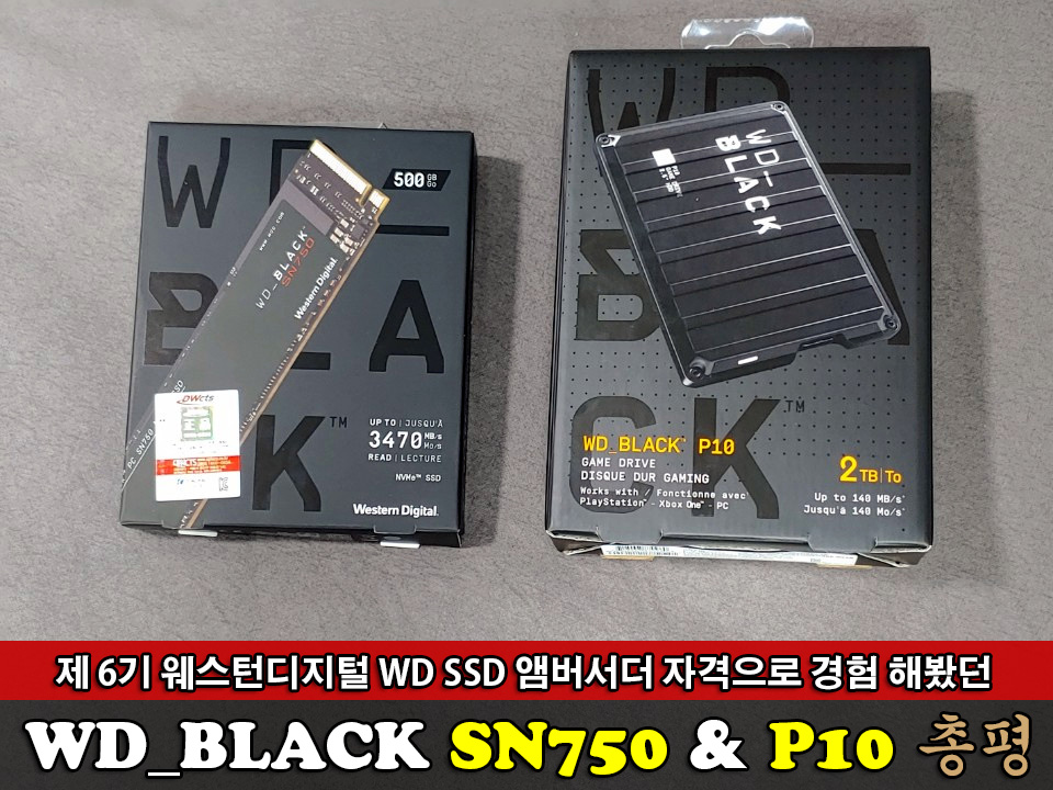제 6기 WD SSD 앰버서더 자격으로 경험 - 에누리 쇼핑지식 리뷰
