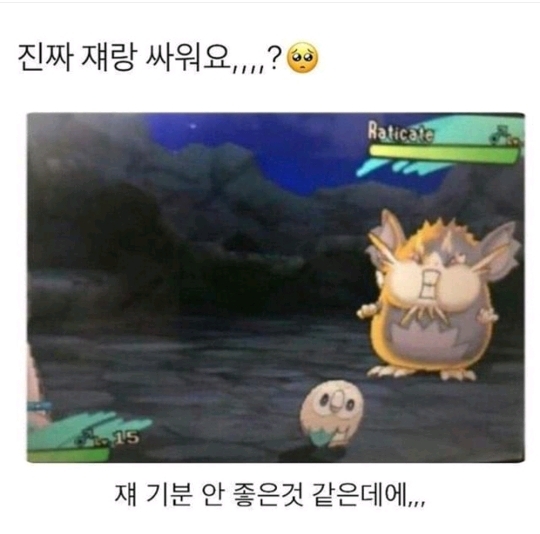 진짜 쟤랑 싸워요? - 에누리 쇼핑지식 자유게시판