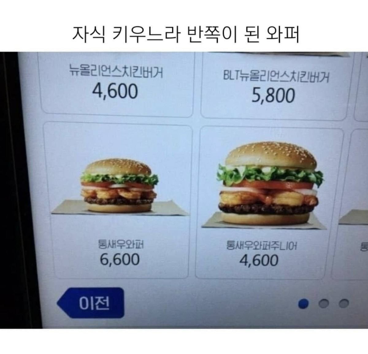 자식 키우느라 반쪽이 된 와퍼 - 에누리 쇼핑지식 자유게시판