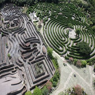 제주도에 있는 미로길 - 에누리 쇼핑지식 자유게시판