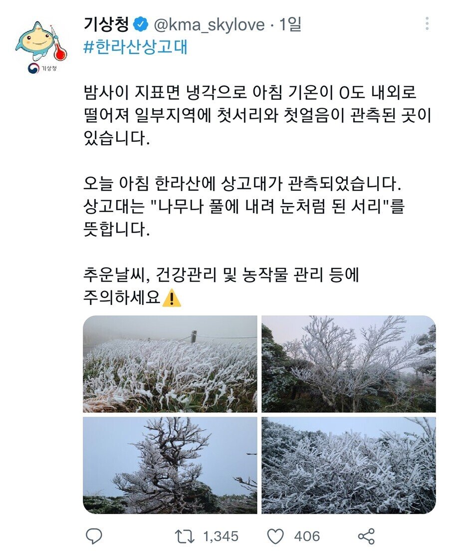 한라산 어제자 근황 - 에누리 쇼핑지식 자유게시판