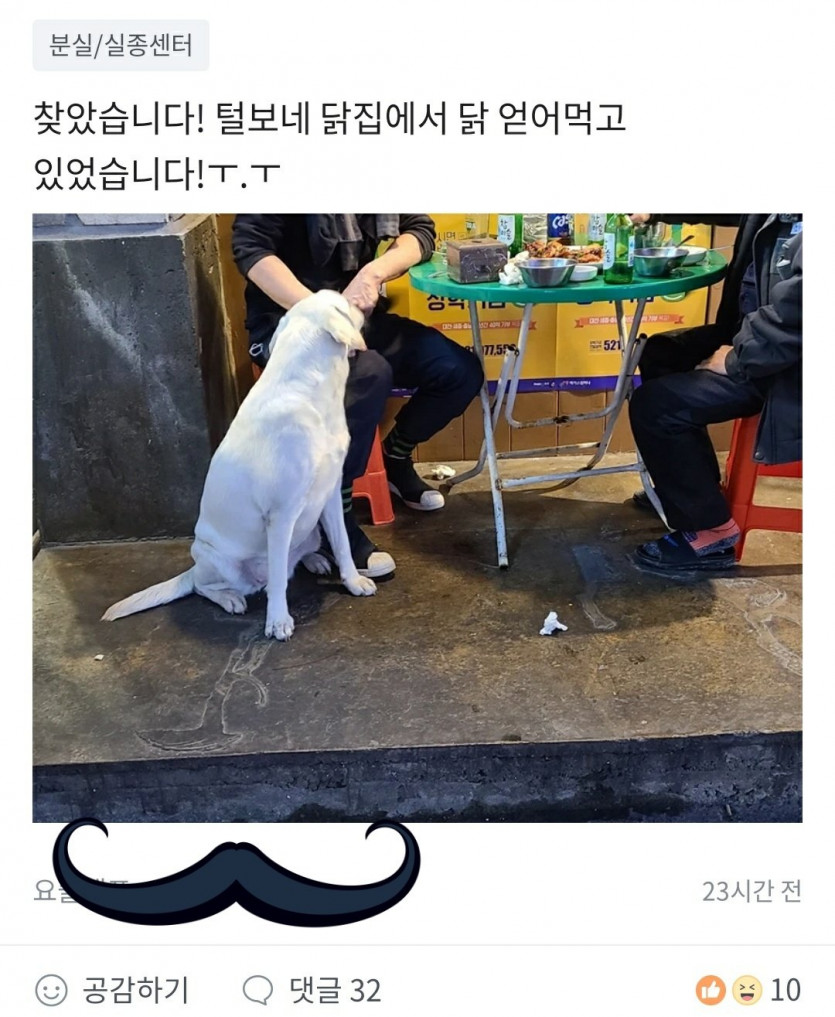 강아지를 찾습니다 - 에누리 쇼핑지식 자유게시판