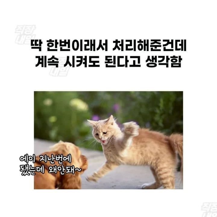 싱글벙글 회사에서 윗사람들이 흔히 하는 착각들 - 에누리 쇼핑지식 자유게시판 싱글벙글 회사에서 윗사람들이 흔히 하는 착각들 - 에누리 쇼핑지식