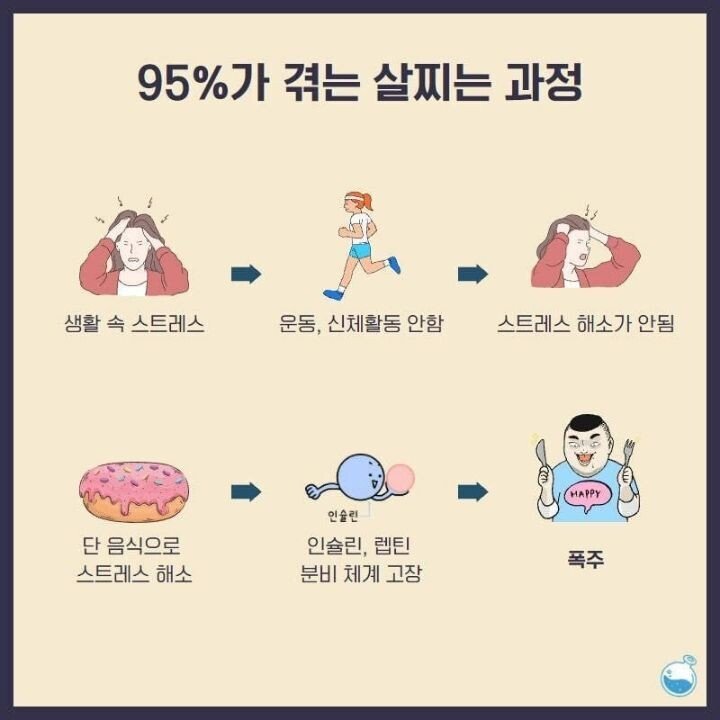 java 실행 과정 - yong’s devlog Images High... 흔히 겪는다는 살찌는 과정 - 에누리 쇼핑지식 자유게시판
