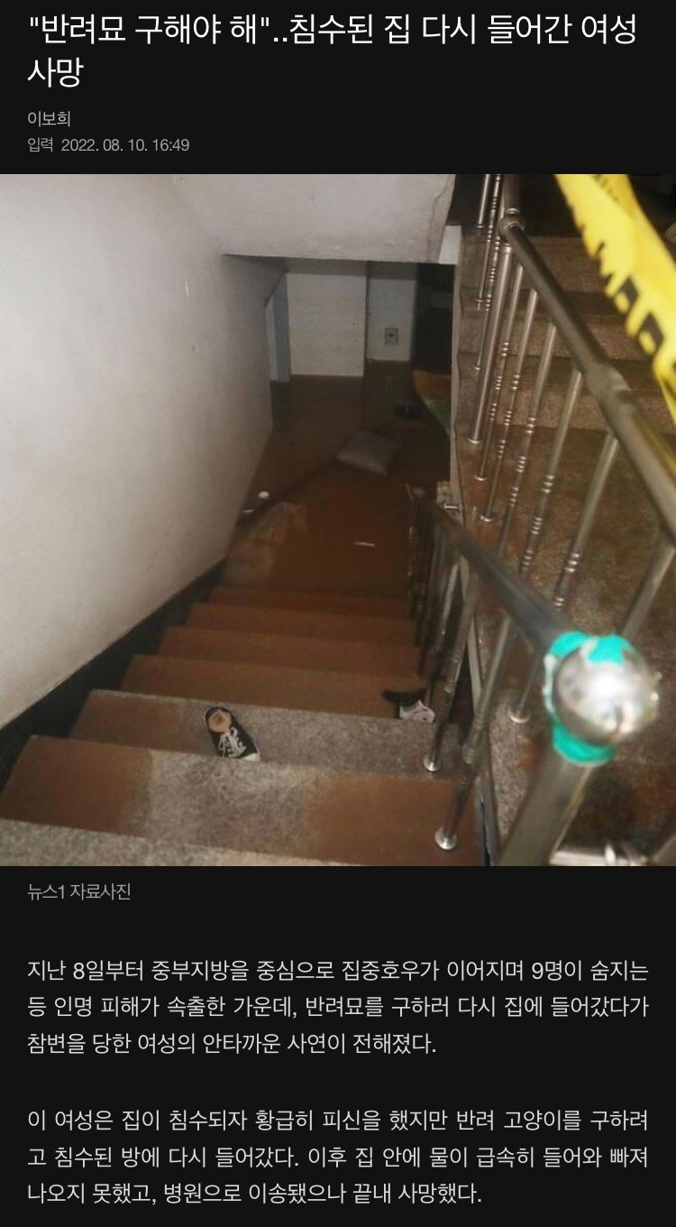 반려묘 구한다며 침수집 들어간 여성 - 에누리 쇼핑지식 자유게시판