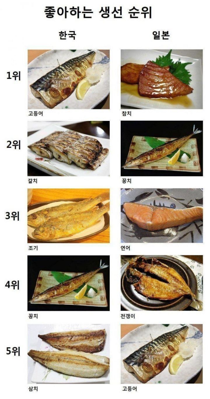 한vs일 생선순위 - 에누리 쇼핑지식 자유게시판