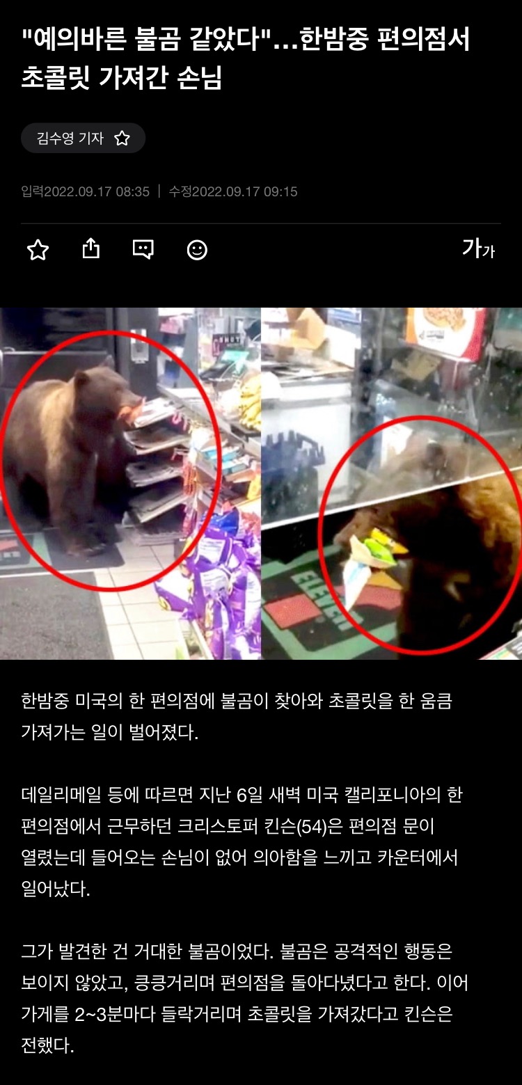 한밤중 편의점서 초콜릿 가져간 손님... 누구 - 에누리 쇼핑지식 자유게시판