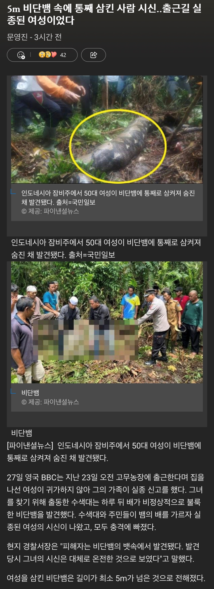 출근길 실종 인도네시아 여성, 비단뱀 몸속에서 시신으로 발견 - 에누리 쇼핑지식 자유게시판