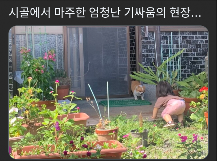 시골에서 마주한 엄청난 기싸움의 현장 - 에누리 쇼핑지식 자유게시판