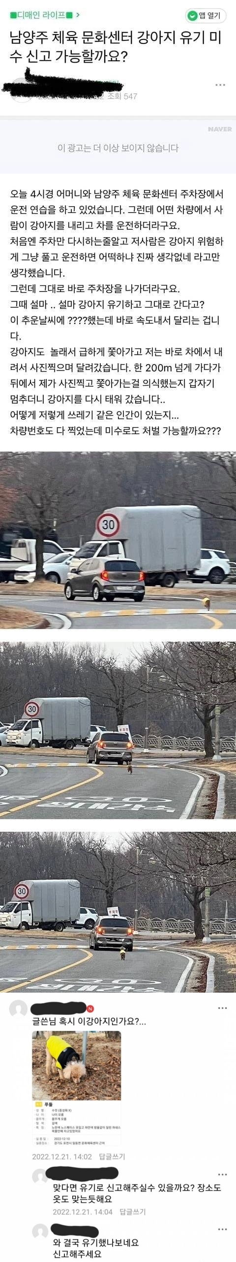 실시간 강아지 유기 - 에누리 쇼핑지식 자유게시판