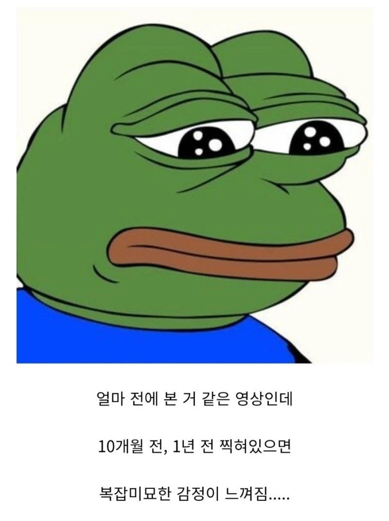 유튜브 볼 때 괜히 슬퍼지는 거 - 에누리 쇼핑지식 자유게시판