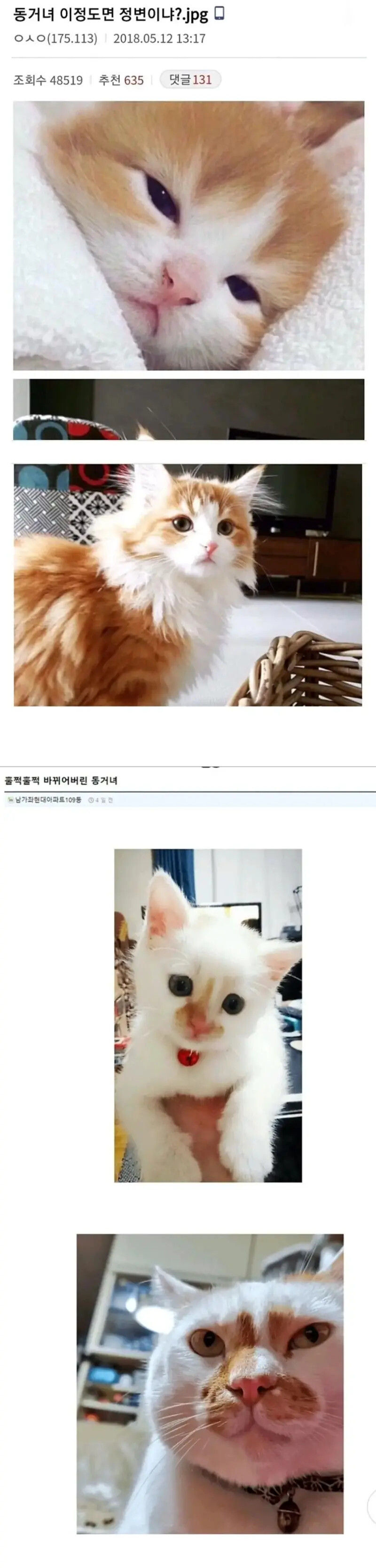 썸네일-급변해버린 동거녀들-이미지