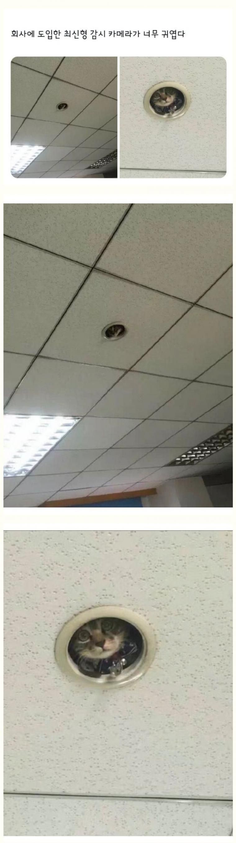 회사에서 도입한 최신형 감시 카메라 - 에누리 쇼핑지식 자유게시판