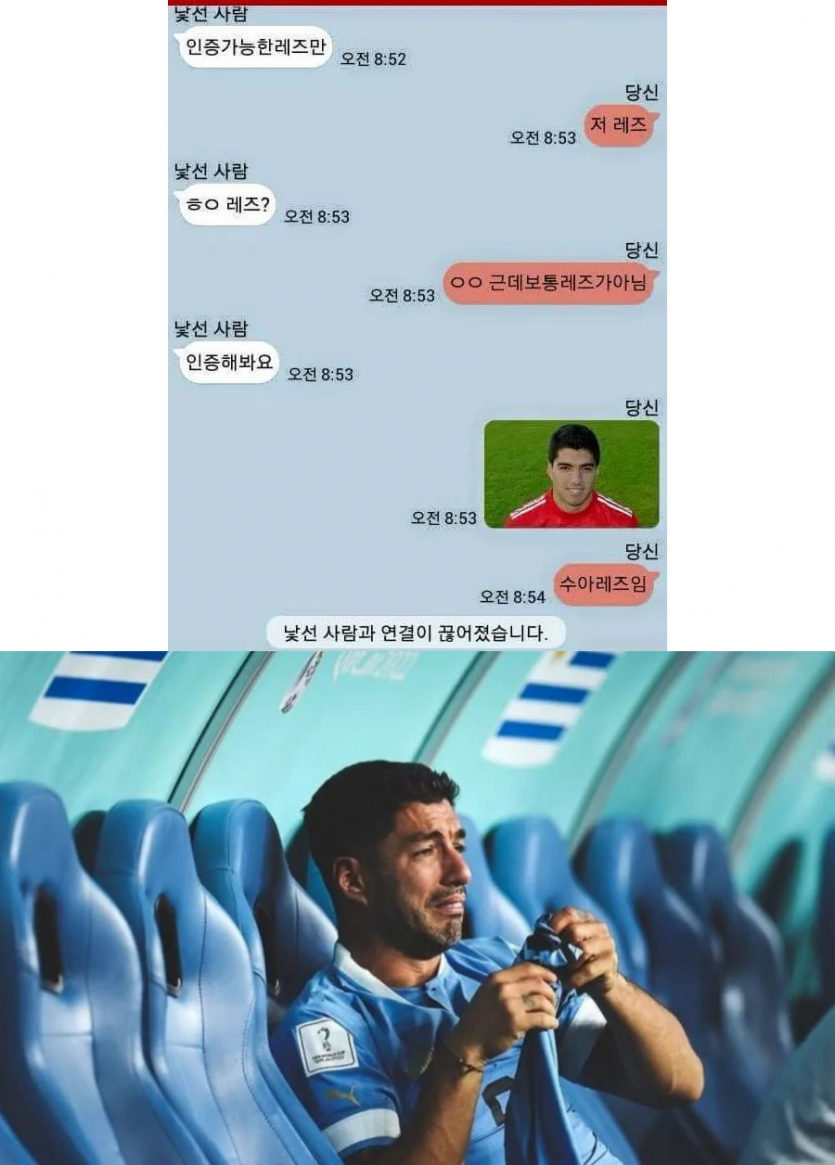 랜덤채팅에서 인증하는 레즈 - 에누리 쇼핑지식 자유게시판