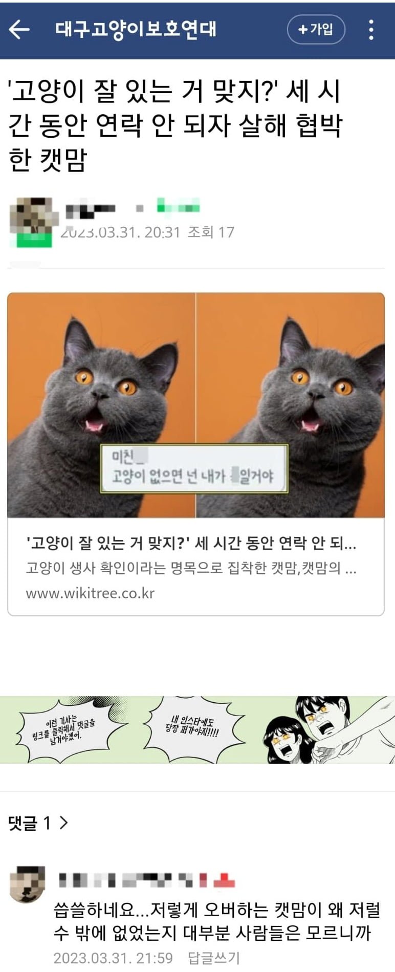 캣맘vs여시 갈등을 본 고양이보호연대 한마디 - 에누리 쇼핑지식 자유게시판