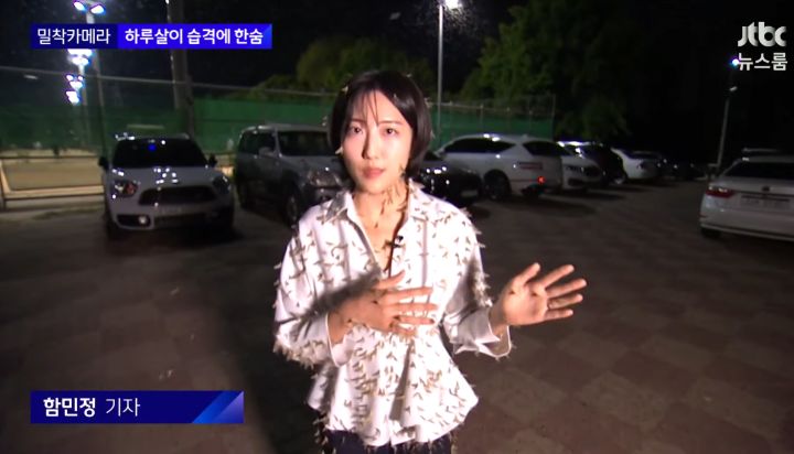 하루살이에게 습격 당한 기자와 카메라맨 - 에누리 쇼핑지식 자유게시판