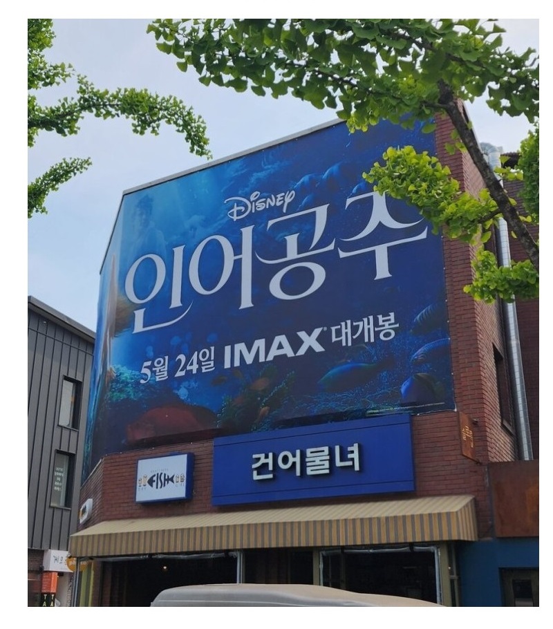 적절한 광고위치 - 에누리 쇼핑지식 자유게시판