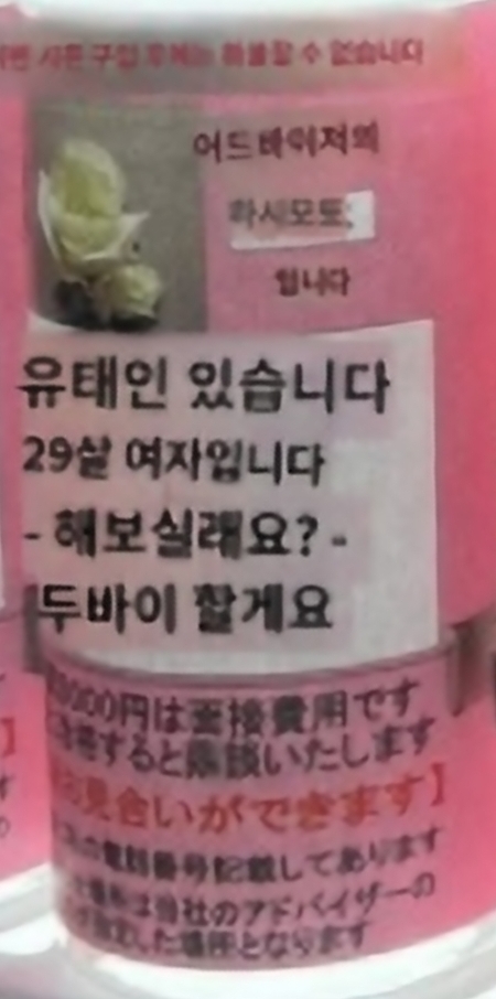 일본의 기괴한 맞선? 자판기 | 인스티즈