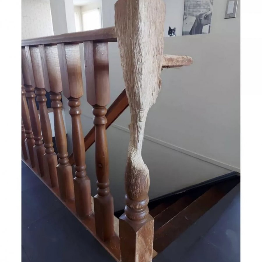 썸네일-11년 걸린 고양이의 작품-이미지