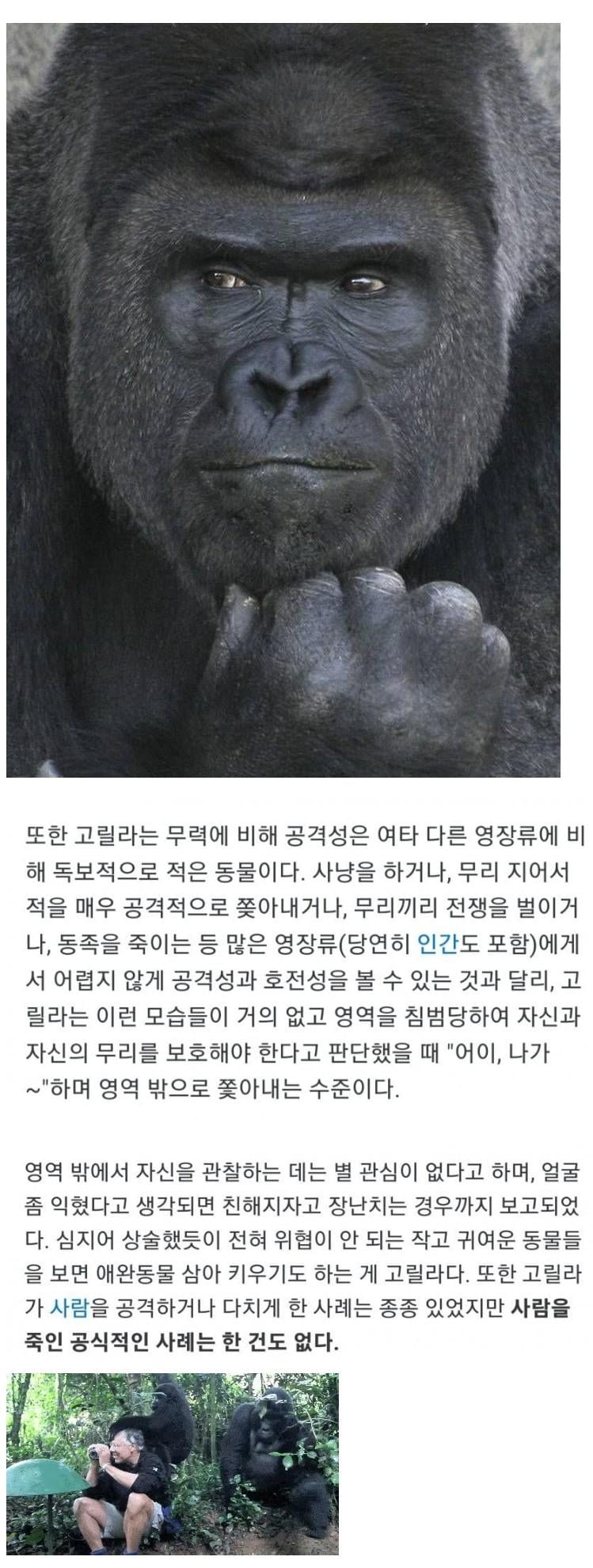 의외로 인간을 죽인 사례가 없는 동물