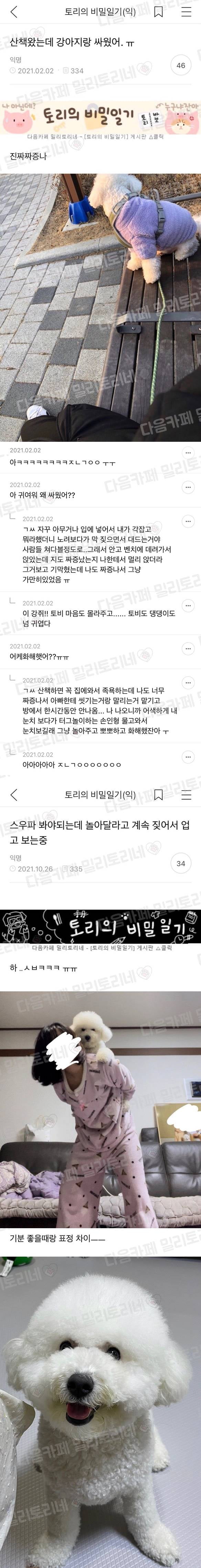 산책하다 반려견과 진심으로 싸운 주인 - 에누리 쇼핑지식 자유게시판