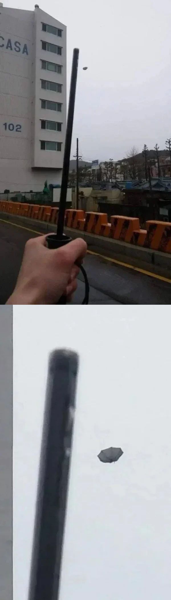 다이소 우산 후기 - 에누리 쇼핑지식 자유게시판