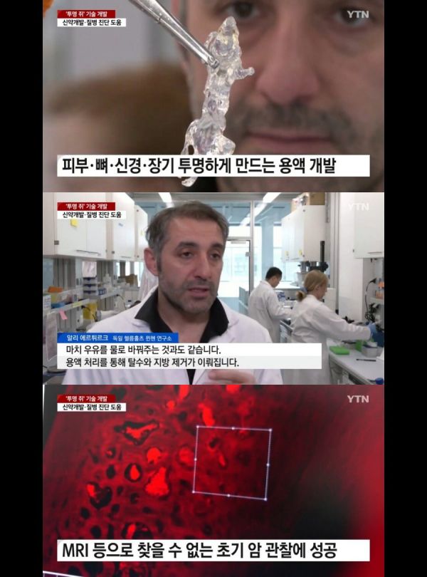 투명 쥐 개발 - 에누리 쇼핑지식 자유게시판