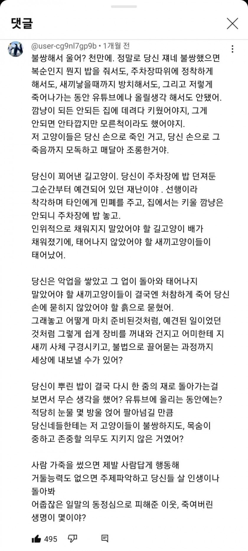 캣맘 줘패는 유튜브 댓글 에누리 쇼핑지식 자유게시판