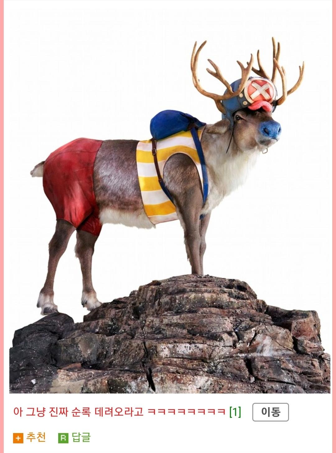 넷플릭스 원피스 쵸파 근.황 - 에누리 쇼핑지식 자유게시판