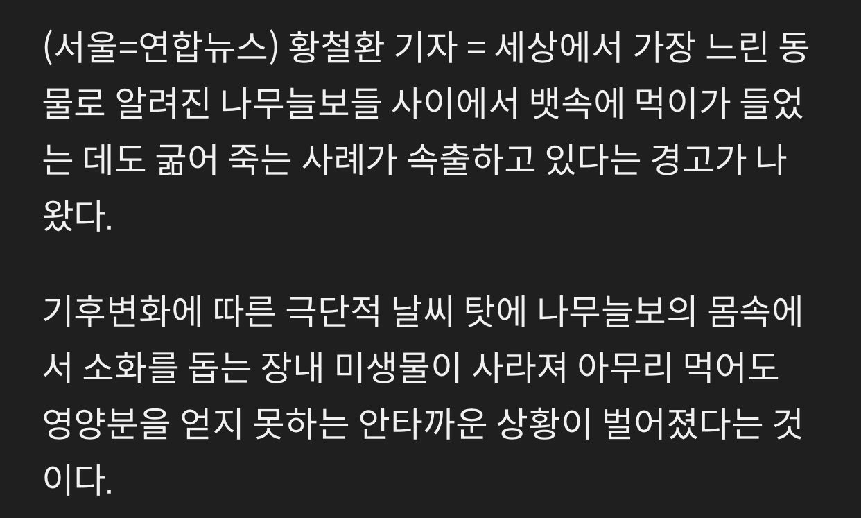 배부른데 굶어죽는 나무늘보 에누리 쇼핑지식 자유게시판