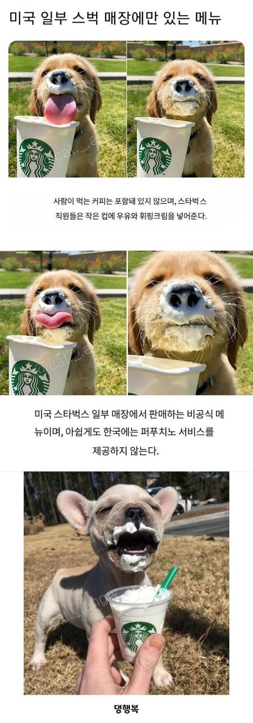 미국 일부 스타벅스 매장에만 있는 메뉴 - 에누리 쇼핑지식 자유게시판