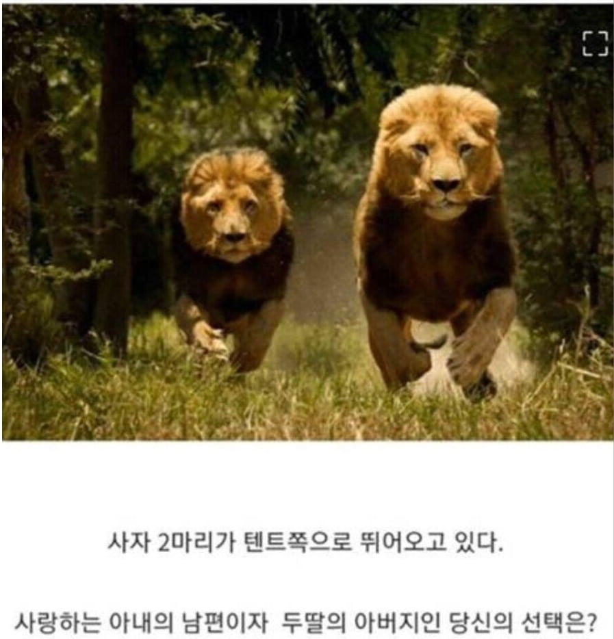 구글 면접에 나온 문제