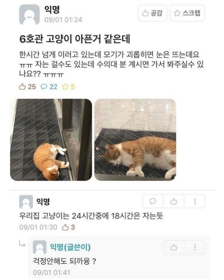 썸네일-에타에서 전문용어 쓰는 수의대생-이미지