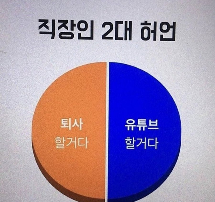 직장인 대표 2대허언